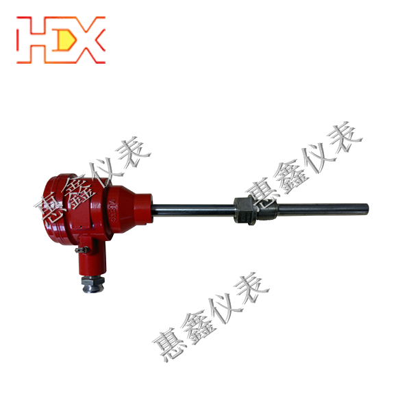 防爆熱電阻 防爆熱電阻